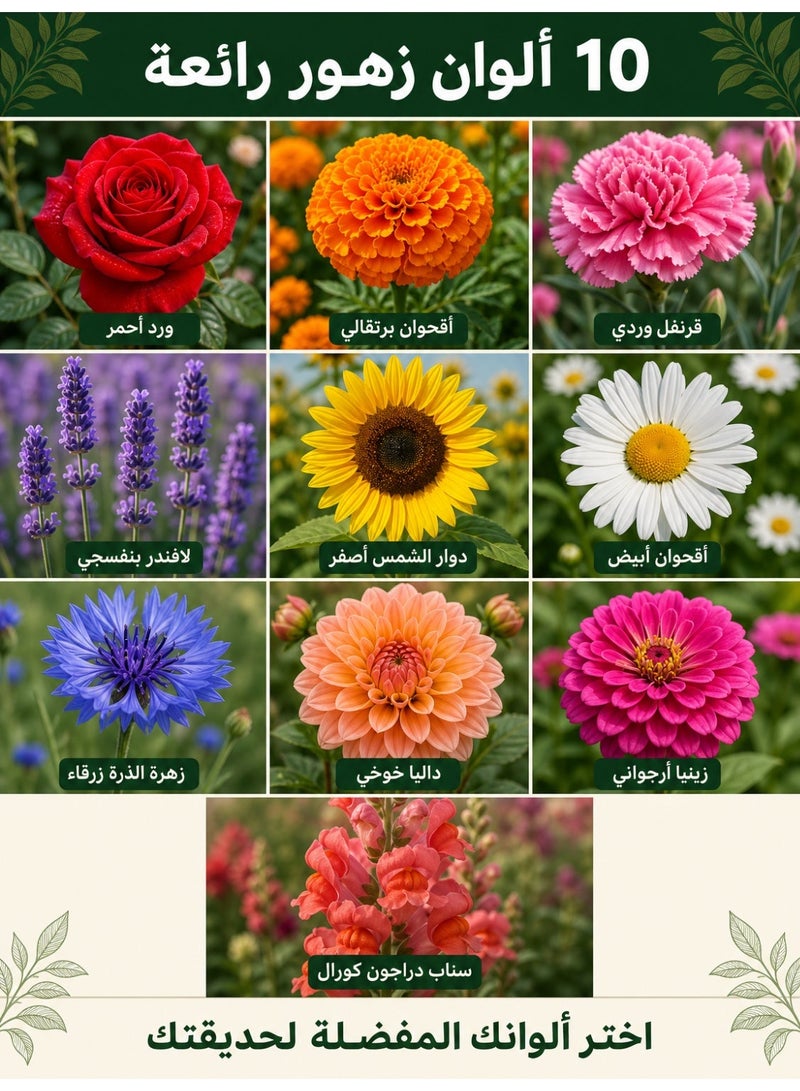 200pcs Mixed Flower Seeds, 10 Colors Climbing Flower Seeds for Garden Planting, Year-Round Patio Garden Seeds Cut Flower Seed Mix - Image 2