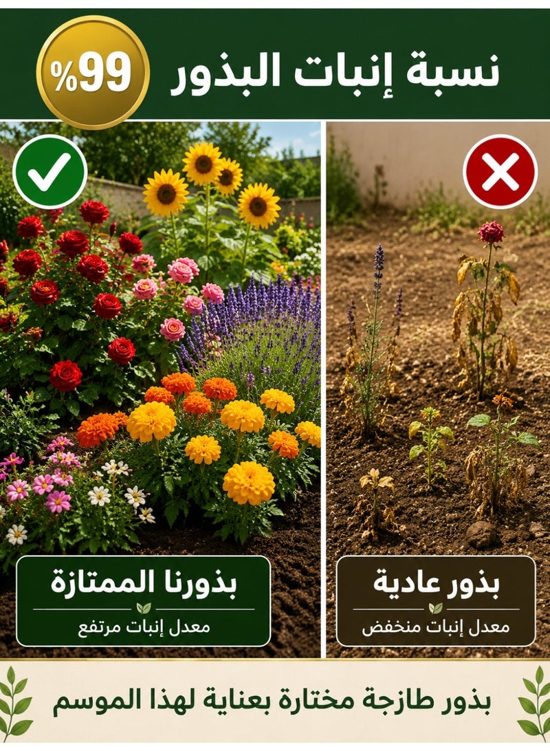 200pcs Mixed Flower Seeds, 10 Colors Climbing Flower Seeds for Garden Planting, Year-Round Patio Garden Seeds Cut Flower Seed Mix - Image 3