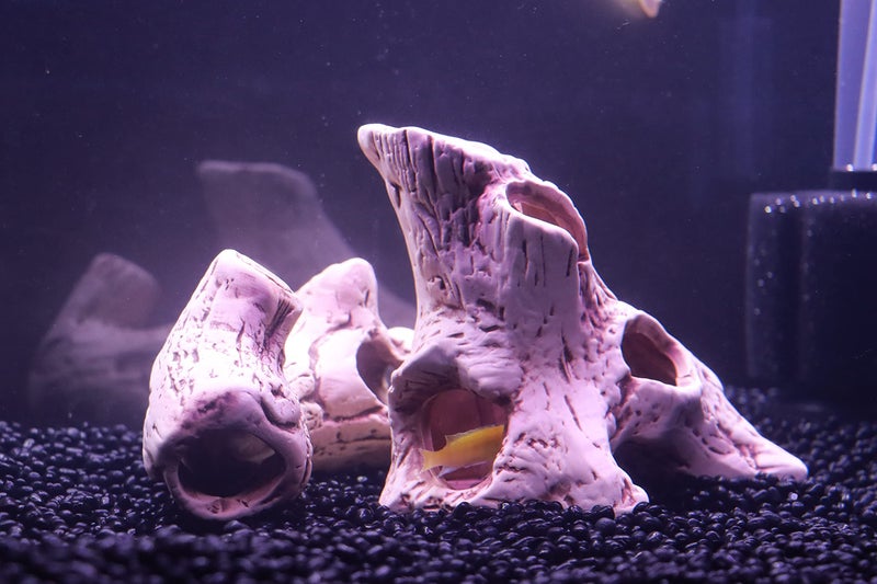 ALEGI Aquarium Decoration Rock Caves, Hideaway for Shrimp, Cichlid, Betta Fish Hideout Decor, Safe for Freshwater and Saltwater Tanks (TreeStumpL+S) - Image 3