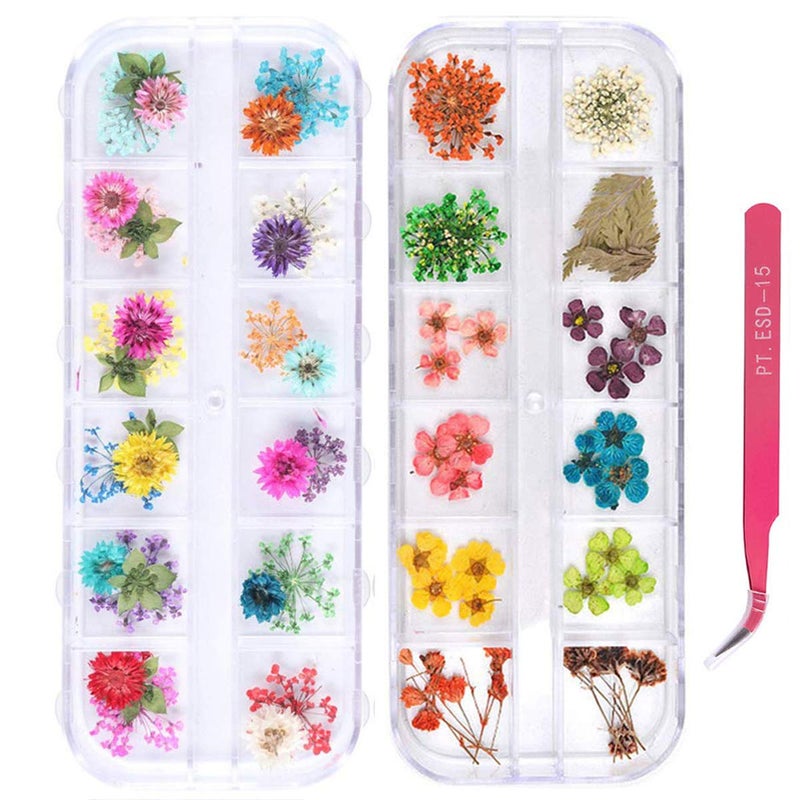 24 Color Dry Flower Mini Appliques 3D Nail Decoration, Gypsophila Leaves