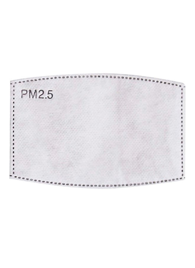 NIBEMINENT - PM2.5 Activated Carbon Replaceable Face Cover Filter - Image 1