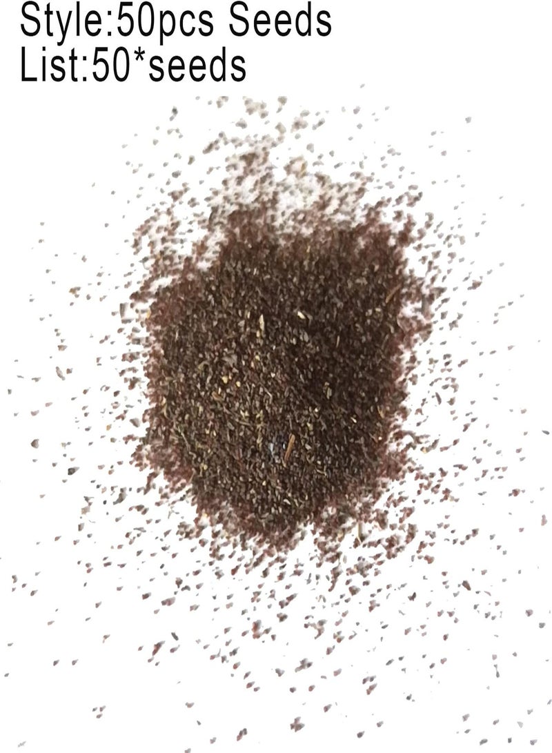 جي جوت 50 قطعة/حقيبة من بذور نبات الزنبق الضفدع المعمرة المزهرة المحمولة المقاومة للظل للحديقة بذور نبات الزنبق الضفدع - Image 4