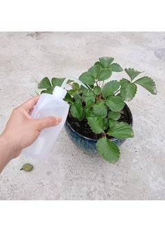 KASTWAVE Squeeze Washing Bottle Succulent Watering Bottle 2 pack 250 ML  - Image 3