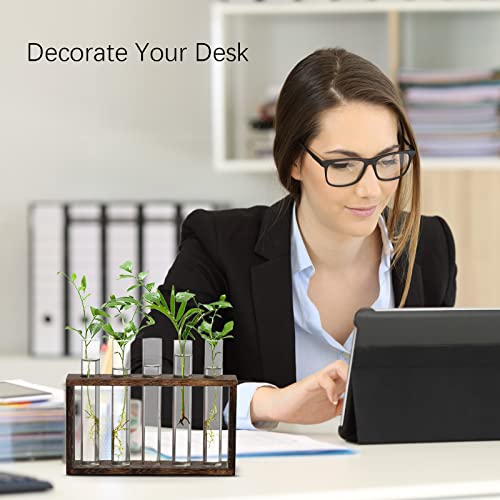 XXXFLOWER Plant Terrarium Wooden Stand with 5 Test Tubes,Glass Planters for Indoor Plants,Plant Lover Gifts for Women Garden Office Decoration - Image 5