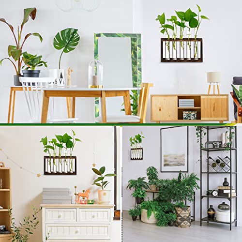 XXXFLOWER Plant Terrarium Wooden Stand with 5 Test Tubes,Glass Planters for Indoor Plants,Plant Lover Gifts for Women Garden Office Decoration - Image 4