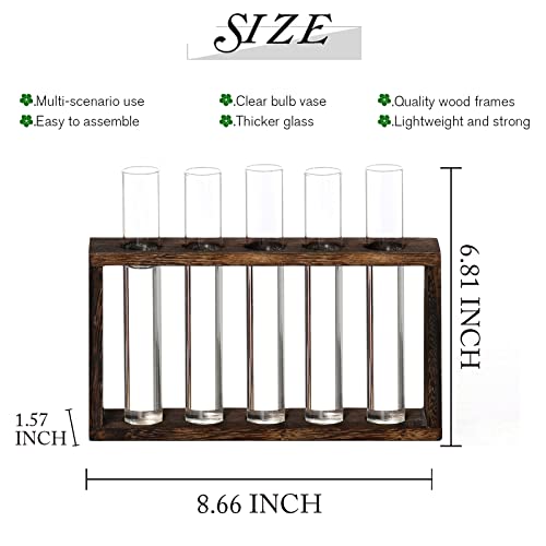 XXXFLOWER Plant Terrarium Wooden Stand with 5 Test Tubes,Glass Planters for Indoor Plants,Plant Lover Gifts for Women Garden Office Decoration - Image 2