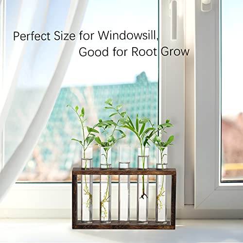 XXXFLOWER Plant Terrarium Wooden Stand with 5 Test Tubes,Glass Planters for Indoor Plants,Plant Lover Gifts for Women Garden Office Decoration - Image 3
