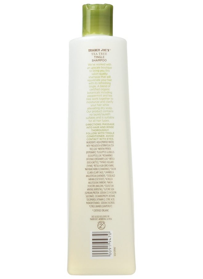 TJ's - Trader Joe's Tea Tree Tingle Shampoo with Peppermint, Tea Tree and Eucalyptus Botanicals, 16-Ounces - Image 1