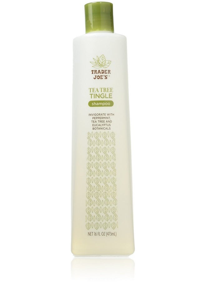 TJ's - Trader Joe's Tea Tree Tingle Shampoo with Peppermint, Tea Tree and Eucalyptus Botanicals, 16-Ounces - Image 1