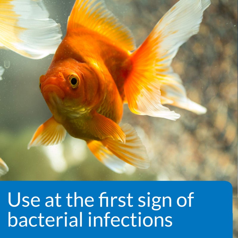 API FIN & BODY CURE Freshwater Fish Powder Medication 10-Count Box - Image 3