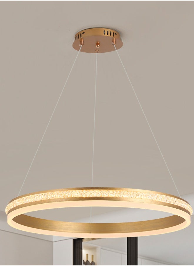 YATAI LIGHTING ثريا دائرية لغرفة الطعام، قطر 60 سم، ثريا LED حديثة مزدوجة الطبقات باللون الذهبي لغرفة النوم، مصباح ثريا أكريليك بدرجة حرارة لون قابلة للتعديل (67 واط، 60 سم)  - Image 1