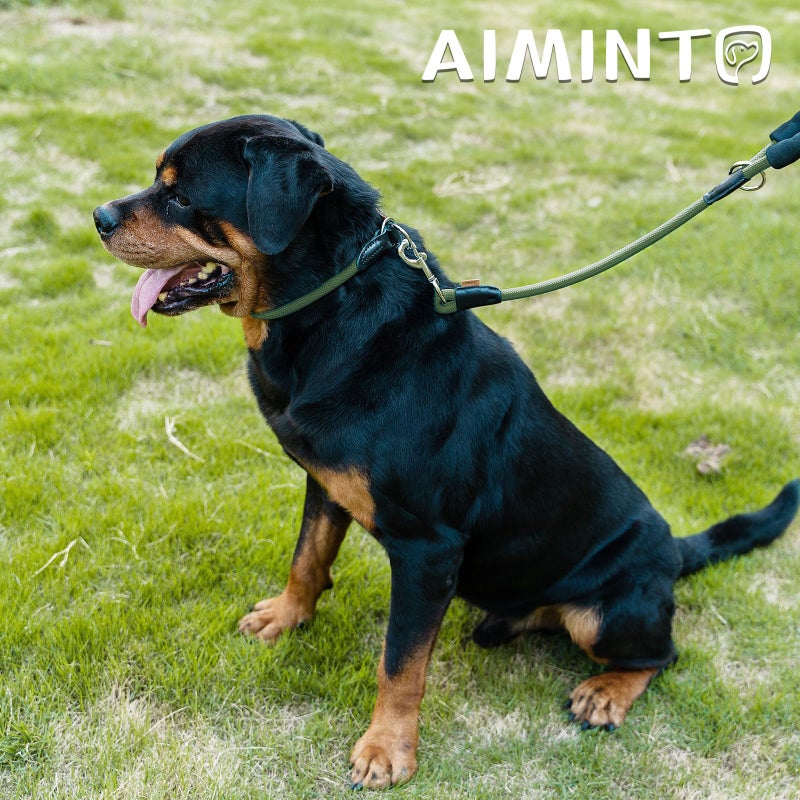 Aiminto Dog Leash, Braided Rope Traction â€“ Walking Training Lead for Medium/Large Dogs ((1/2") x 6FT, Dark Green) - Image 3