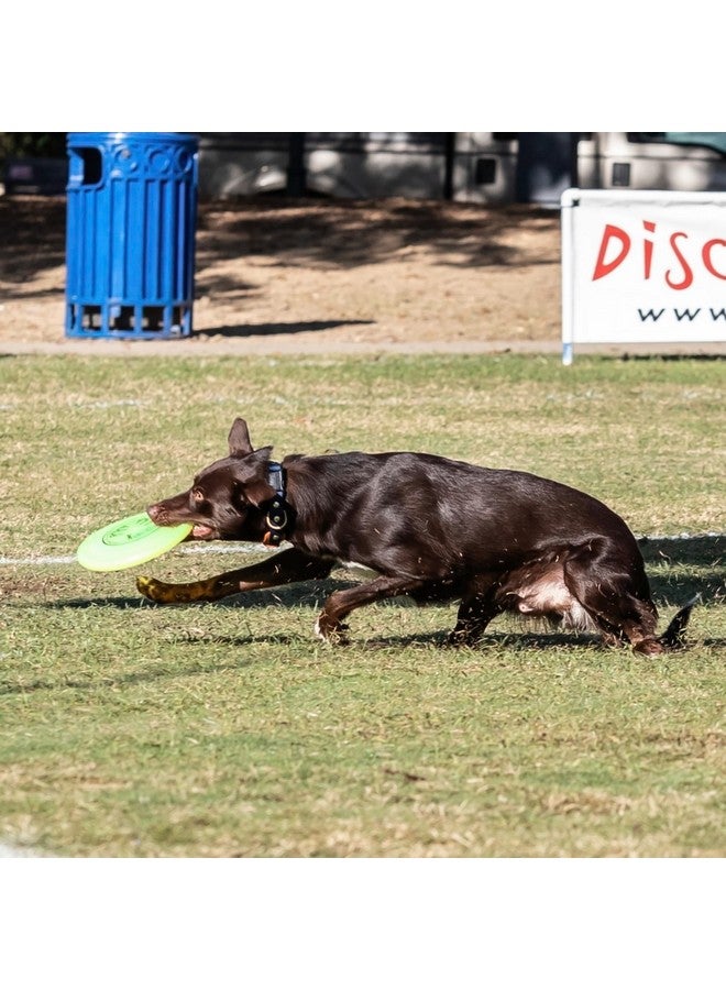 هايبر فلايت قرص طائر للكلاب من هايبرفلايت جوز - أقوى لعبة تدريب للكلاب في العالم. أفضل لعبة أقراص طائرة للمنافسة للحيوانات الأليفة، مقاومة للثقب - ٨.٧٥ بوصة - Image 4