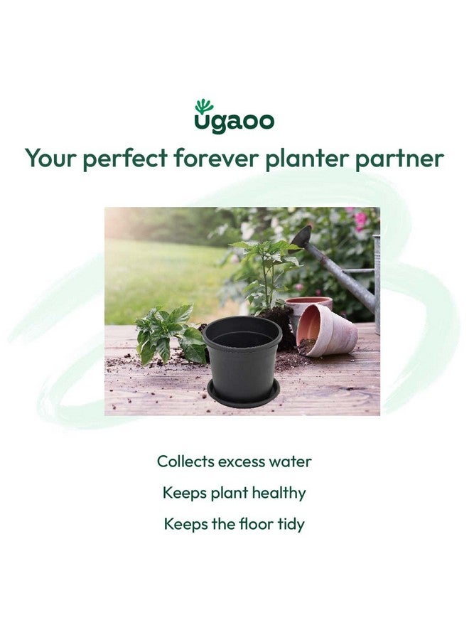 Ugaoo UV Treated Gardening Plastic Tray (Plate/Saucer) for Pots - 12 inch, Black Color, Set of 12 | Tray for Plants Pot for Indoor Home Decor & Outdoor Garden & Balcony - Image 4