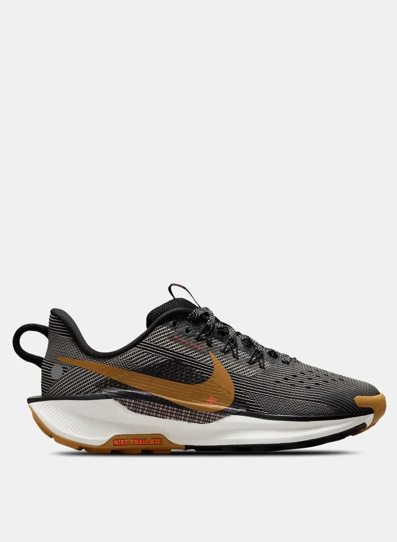 Nike Nike Pegasus Trail 5