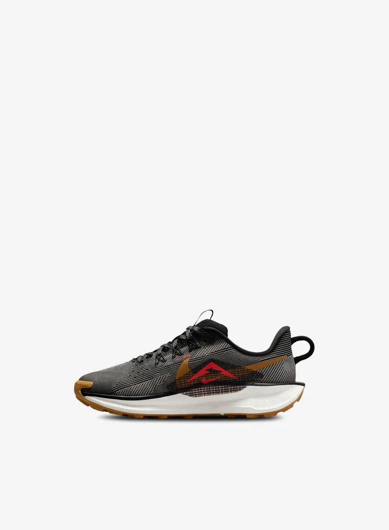 Nike Nike Pegasus Trail 5