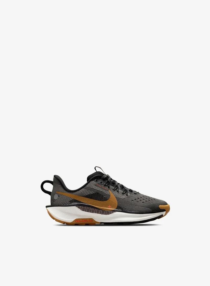Nike Nike Pegasus Trail 5