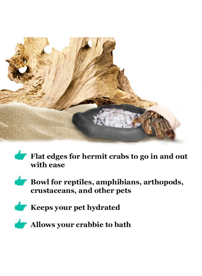 SunGrow - SunGrow Hermit Crab Water Bowl and Bathing Pool, 5 x 5.5 Inches, Reptile Food Bowl and Hermit Crab Supplies, Water Dish and Climber, Charcoal Color, 1 Pc/Pack - Image 1