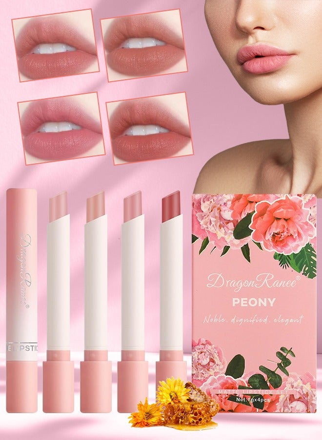 4Pcs Matte Lipstick Set Moisture Lip Glossy Waterproof Long Lasting Lip liner Set Lipstick for Women Makeup