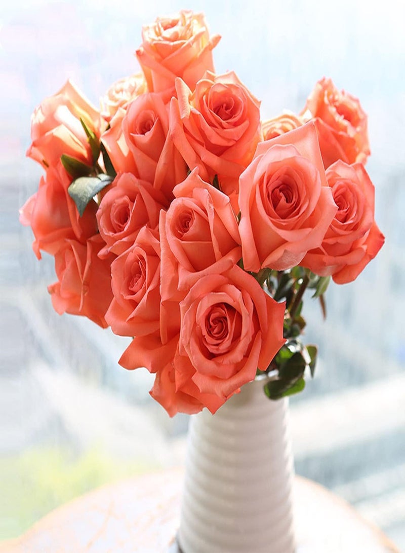 GGOOT 200Pcs Rose Seeds Rrose Seeds Fast-Growing Good-Looking Beautify Visual Experience Balcony Rose Seeds Pink - Image 1