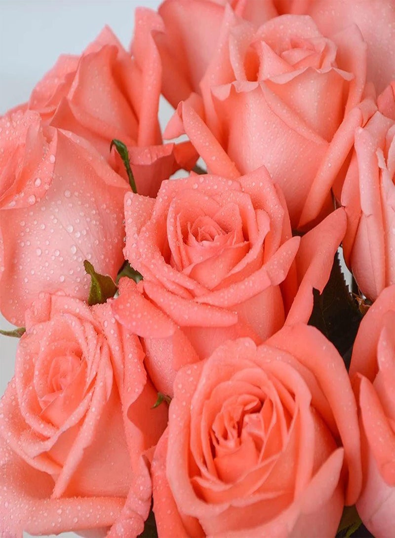 GGOOT 200Pcs Rose Seeds Rrose Seeds Fast-Growing Good-Looking Beautify Visual Experience Balcony Rose Seeds Pink - Image 5