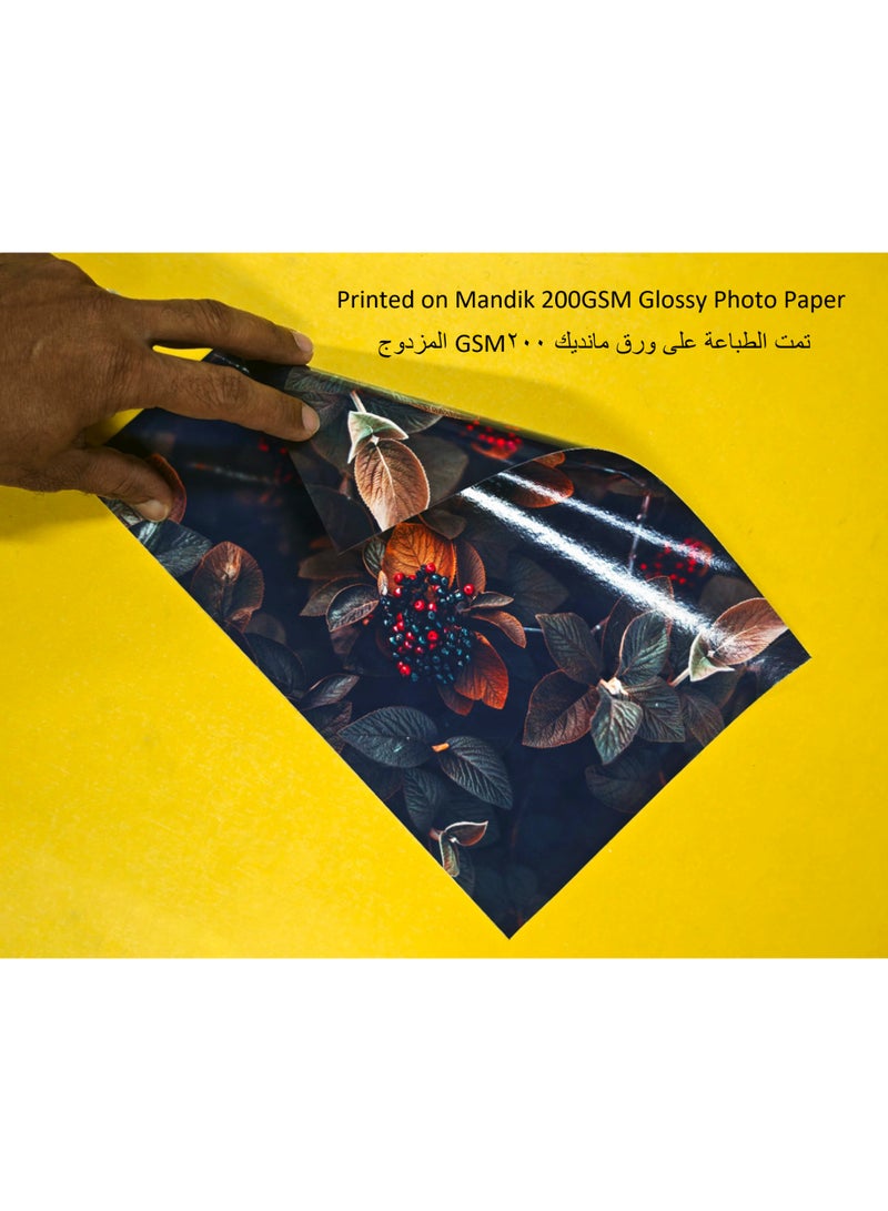 مانديك ورق طباعة الصور اللامع الفاخر من مانديك Mandik – مقاس A4 (210 × 297 مم) – وزن 200 جم – مزدوج الوجه – متوافق مع جميع طابعات الحبر – يجف فورًا – 50 ورقة - Image 2