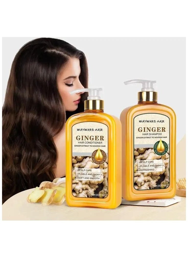 WAYWARD WHEELS - Ginger Shampoo hair and roots and repair - Image 1