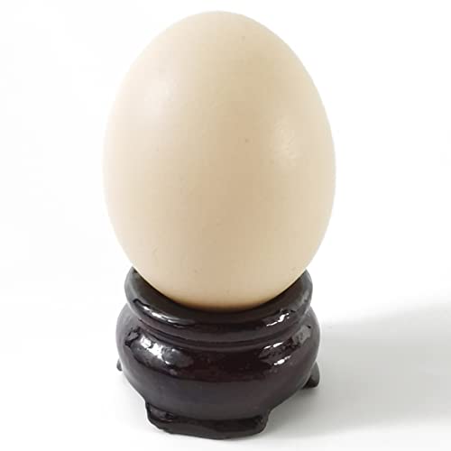 NSBELL 20PCS 2 Sizes Wooden Egg Stands Holders Displays Stand Ball Egg Base for Crystal Ball Sphere Globe Stone Decor Dark Red Color - Image 3