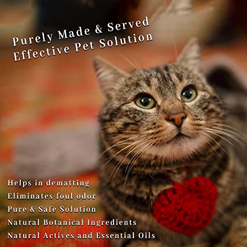 DR PET PLUS Dr. Pet Plus Luxury Professional Ayurvedic 2 In 1 Shampoo Plus Conditioner For Cat | Deeply Cleanse Coat, Softens & Conditions Coat | All Coat Types | Cat Shampoo Conditioner For All Cat Breed – 100Ml - Image 4