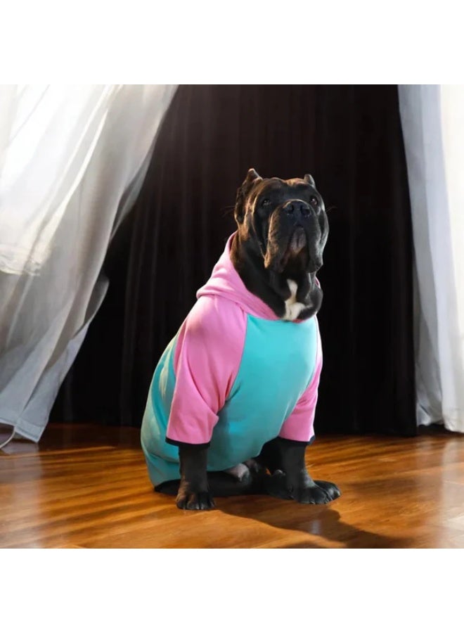Pet Moda Streetwear Hoodie Multi-colors options-5