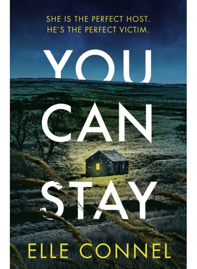 You Can Stay : The chilling, heart-stopping new thriller