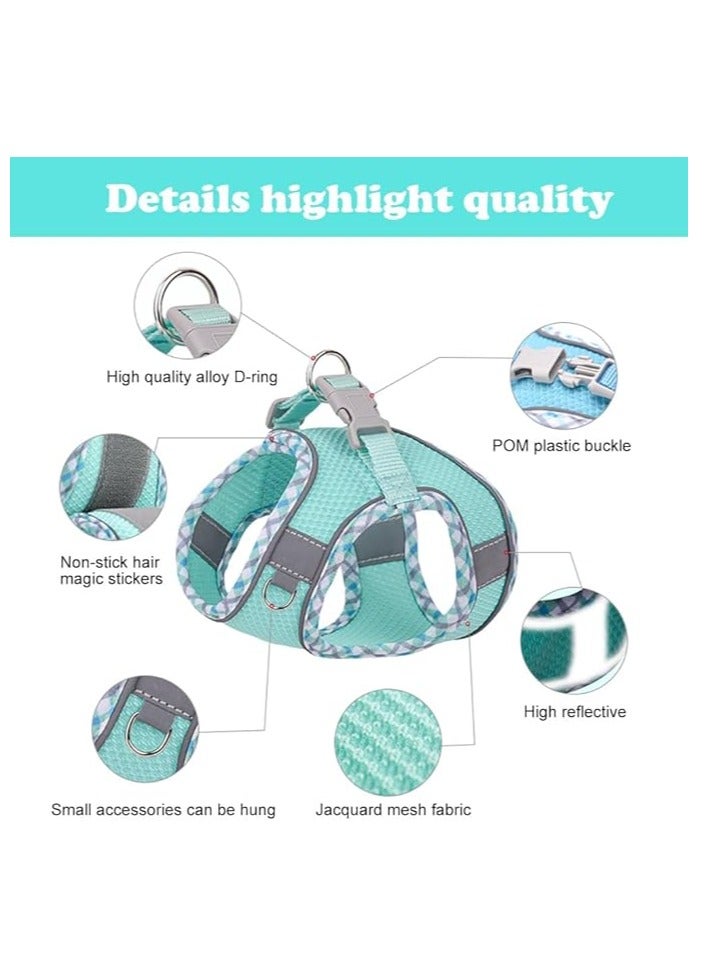 تسخير للكلاب الصغيرة والمتوسطة - لا يوجد حزام جرو ومجموعة مقود ، حزام مشي سهل للمشي والجري والتدريب - Image 3