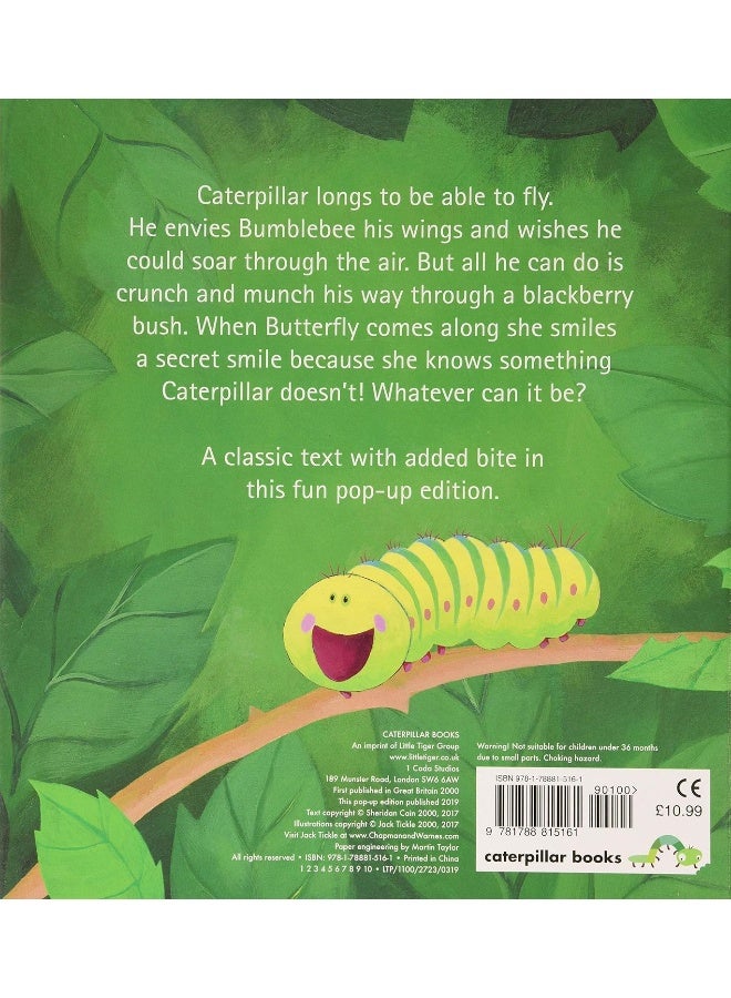 The Crunching Munching Caterpillar  - Image 5