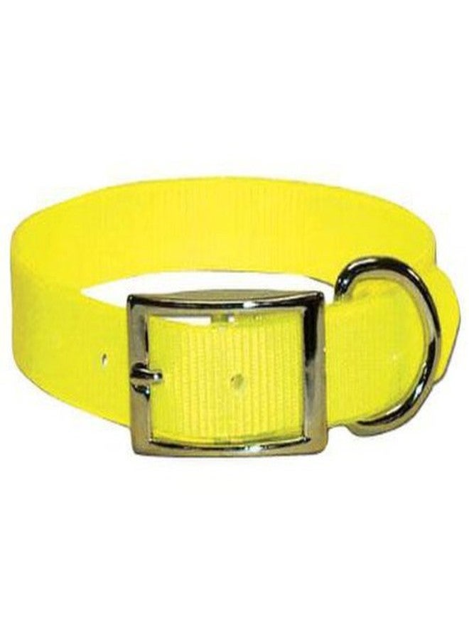 OmniPet SunGlo Regular Dog Collar, 1" Wide, Yellow, Fits 16"- 19.5" Neck Sizes, Vibrant Colors & Tough Construction for Active Dogs