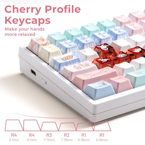 GMKWTL XVX PBT Keycaps 75 Percent, 157 Keys Cute Dye-Sub Keycap Set, Cherry Profile Keyboard Keycaps with Custom Transparent Key caps Compatible with Most ANSI Layout MX Switches Mechanical Keyboard - Image 5