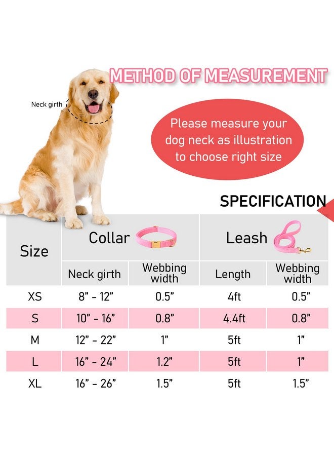 GAMUDA Velvet Dog Collar and Leash, Super Soft and Smooth, Heavy Duty Gold Buckle, Comfortable and Easy to Clean, Adjustable Collar for Dog (S, Pink) - Image 4