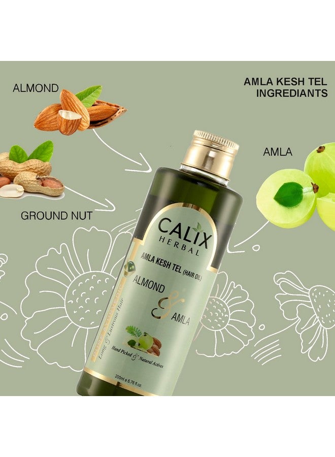 كلاليكس هيربال زيت أملا كيش تيل العضوي والأيورفيدا (زيت الشعر) يمنع تساقط الشعر ويحسن نمو الشعر ويغذي الشعر الباهت والجاف للرجال والنساء 200 مل - Image 4