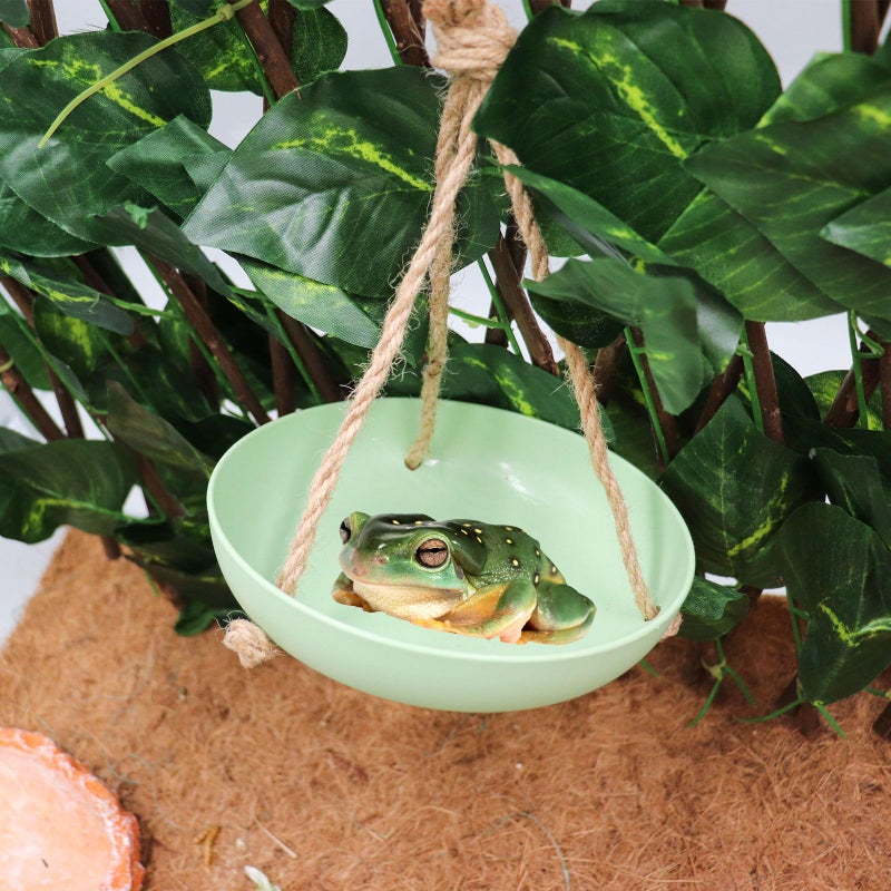 Neeenn Frog Swing Toys, Gecko Swing Toys, Plastic Reptile Amphibian Climbing Toys, Tank Aquarium Terrarium Decoration Accessories, Suitable for Frog Gecko Lizard Chameleon Hermit Crab Hamsters Rats - Image 4