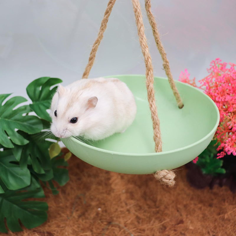 Neeenn Frog Swing Toys, Gecko Swing Toys, Plastic Reptile Amphibian Climbing Toys, Tank Aquarium Terrarium Decoration Accessories, Suitable for Frog Gecko Lizard Chameleon Hermit Crab Hamsters Rats - Image 3