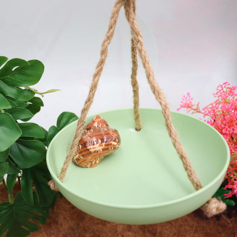 Neeenn Frog Swing Toys, Gecko Swing Toys, Plastic Reptile Amphibian Climbing Toys, Tank Aquarium Terrarium Decoration Accessories, Suitable for Frog Gecko Lizard Chameleon Hermit Crab Hamsters Rats - Image 2