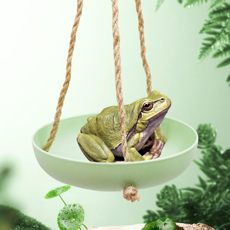 Neeenn Frog Swing Toys, Gecko Swing Toys, Plastic Reptile Amphibian Climbing Toys, Tank Aquarium Terrarium Decoration Accessories, Suitable for Frog Gecko Lizard Chameleon Hermit Crab Hamsters Rats - Image 1