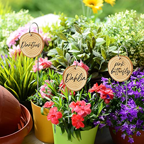 Temlum Wooden Plant Labels with Marker Pen, 25 Pcs Garden Markers Garden Label Stakes Plant Sign Tags for Flowers, Herbs, Potted Plants, Seed - Image 5