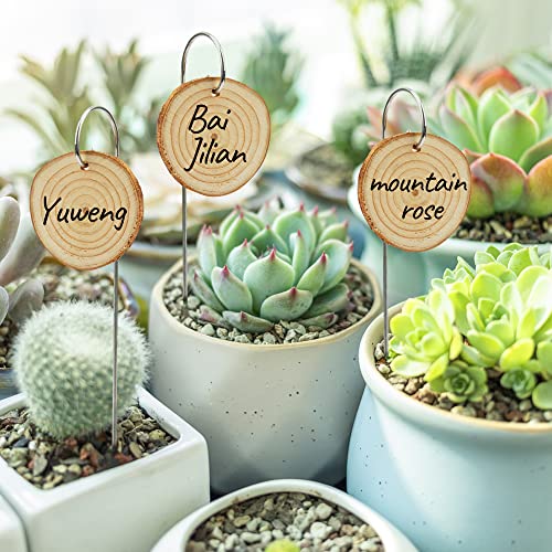 Temlum Wooden Plant Labels with Marker Pen, 25 Pcs Garden Markers Garden Label Stakes Plant Sign Tags for Flowers, Herbs, Potted Plants, Seed - Image 2