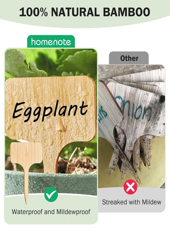 homenote ملصقات نباتات الخيزران من هوم نوت، 60 قطعة، علامات نباتات للشتلات، علامات نباتات على شكل حرف T، علامات حدائق خارجية، علامة شتلات خضروات، علامة اسم النبات، مقاومة للماء، مع قلم إضافي (4*2.4 بوصة) - Image 3
