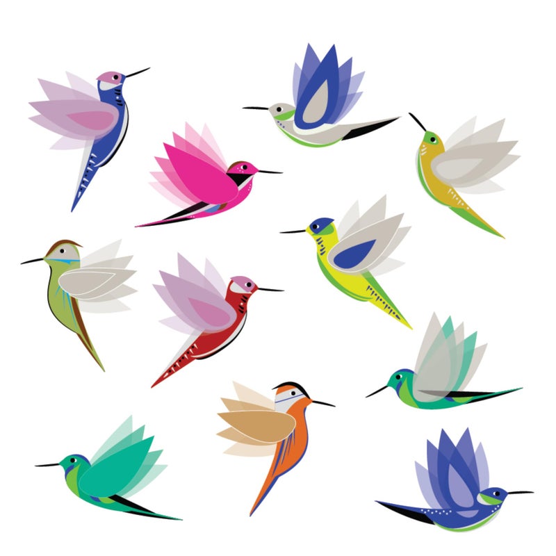 11 x Illustrated Hummingbird Window Clings for Glass and Doors  Window Decals Preventing Birds Strikes  Anti Collision Sticker Decor  Decorative Bird Decals Made in America