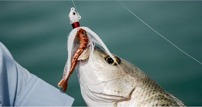 Berkley Gulp! Saltwater Fishing Soft Bait - Natural Shrimp 3in - Image 4