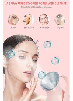 sokany Facial Sauna Humidifier, Home Sauna Steamer Nano Ion Face Steaming Device, Model ZJ-6580-- BFD, Suitable For Pore Cleaning, Whitening, Blackhead Removal, And Skincare - Plug: European Standard  - Image 3