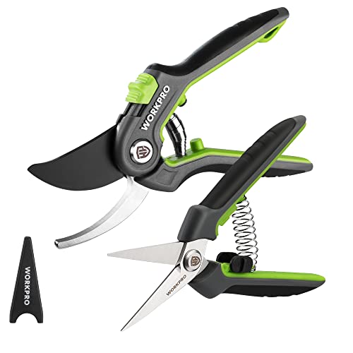 WORKPRO Garden Pruning Shears 2 Pack, 8" Bypass Pruning Shears and 6.25" Straight Garden Scissors, Premium Plant Shears, Garden Clippers Hand Tools for Cutting Flowers, Trimming Plants, Picking Fruits - Image 1