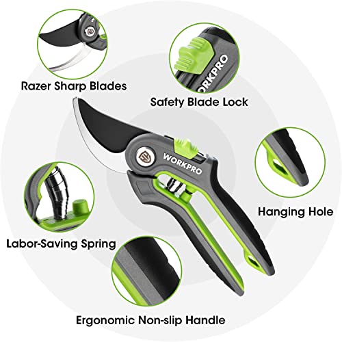 WORKPRO Garden Pruning Shears 2 Pack, 8" Bypass Pruning Shears and 6.25" Straight Garden Scissors, Premium Plant Shears, Garden Clippers Hand Tools for Cutting Flowers, Trimming Plants, Picking Fruits - Image 3