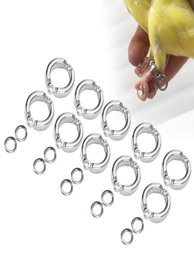 EVTSCAN Bird Foot Ring, 10Pcs Bird Parrots Leg Ring Outdoor Fly Training Activity Opening Clip Accessories(10) - Image 1